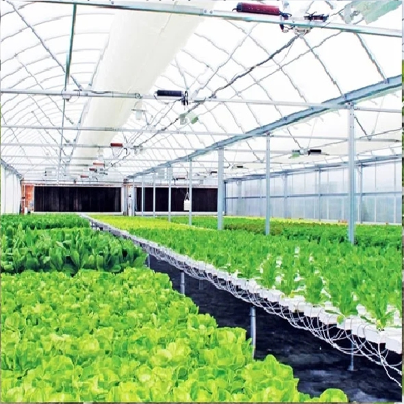 Hydroponic Growing PVC Pipe Gutter Greenhouse Aquaponic Nft Channel System