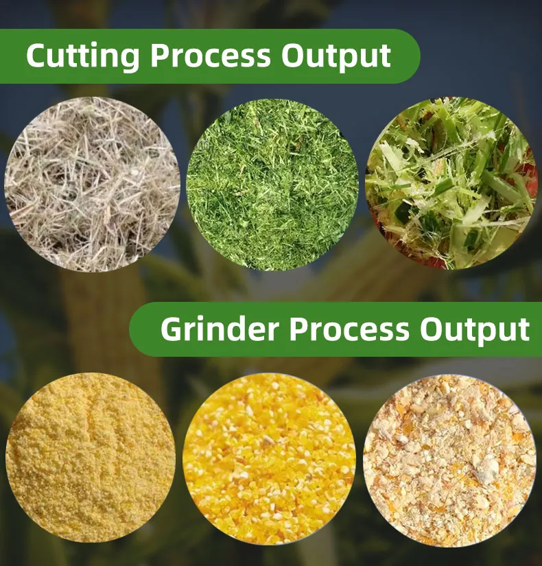 Quality Livestock Nutrition