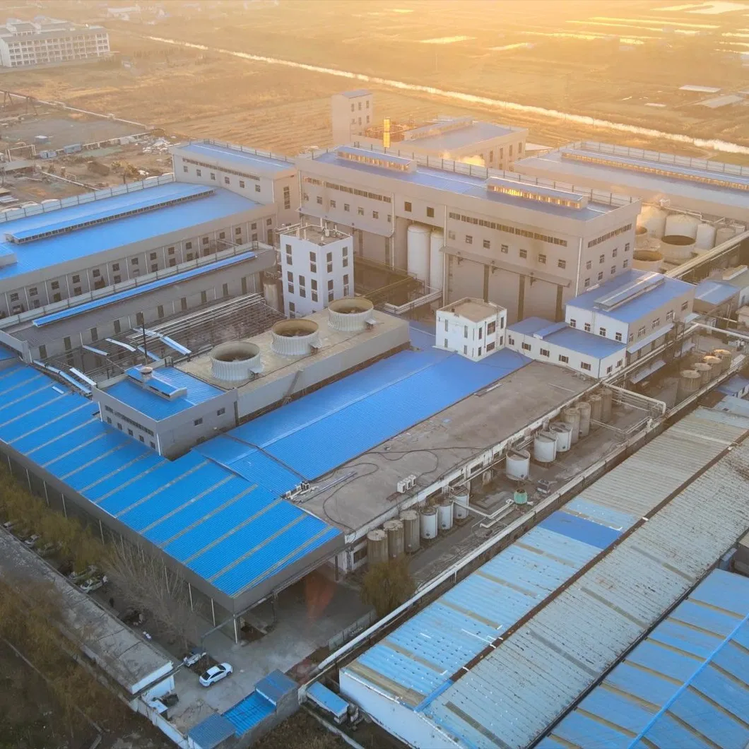 Production Facility