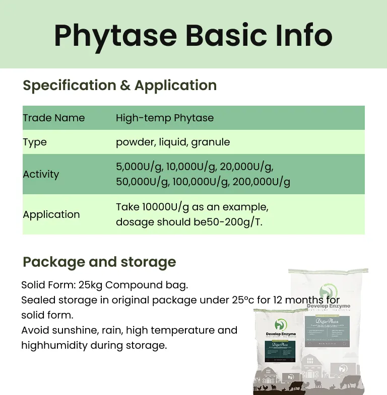 Feed Enzyme Technology