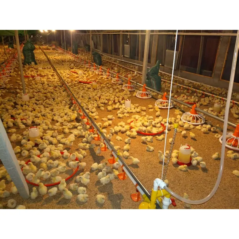 Galvanized Steel Material Overview