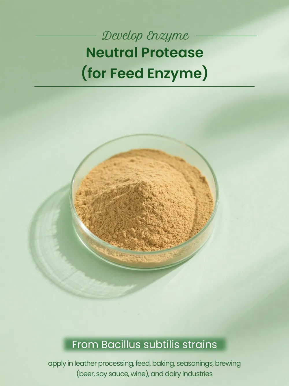 Neutral Protease Enzyme Intro