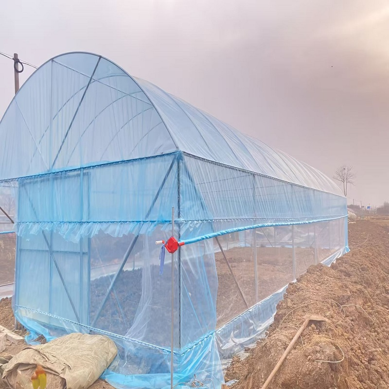 Custom Tarpaulin Color Greenhouses for Optimal Crop Yield Enhancement