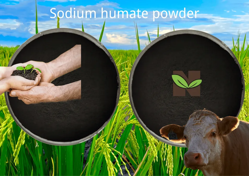 Sodium Humate Product Display 1
