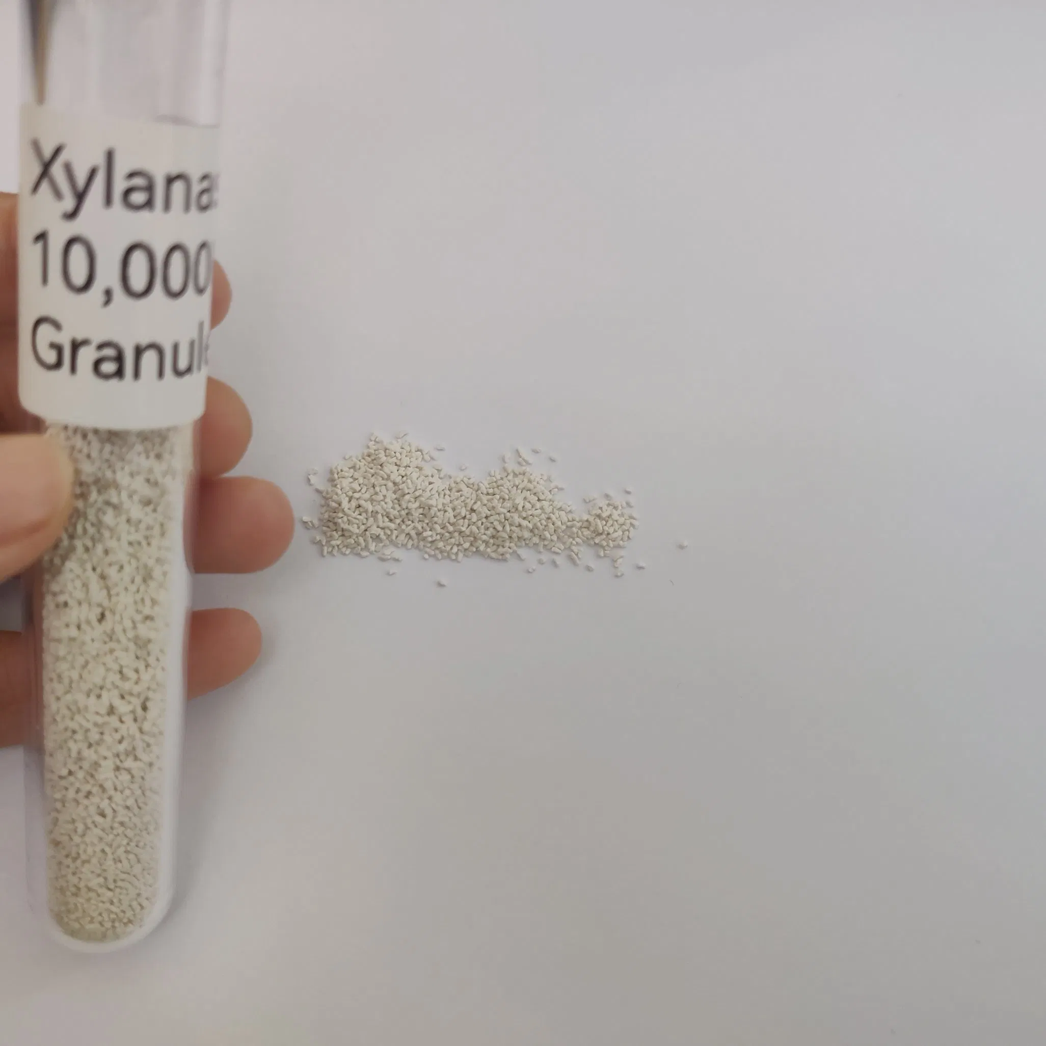 Feed Additive Enzyme Nutrient Release Reduce Intestinal Viscosity Gut Health Improvement Thermostability Feed Mill Water Line Animal Health Xylanase Feed Enzyme