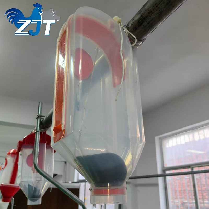 Advanced Automated Pig Feeding System for Pig Quantitative Cup Distributor