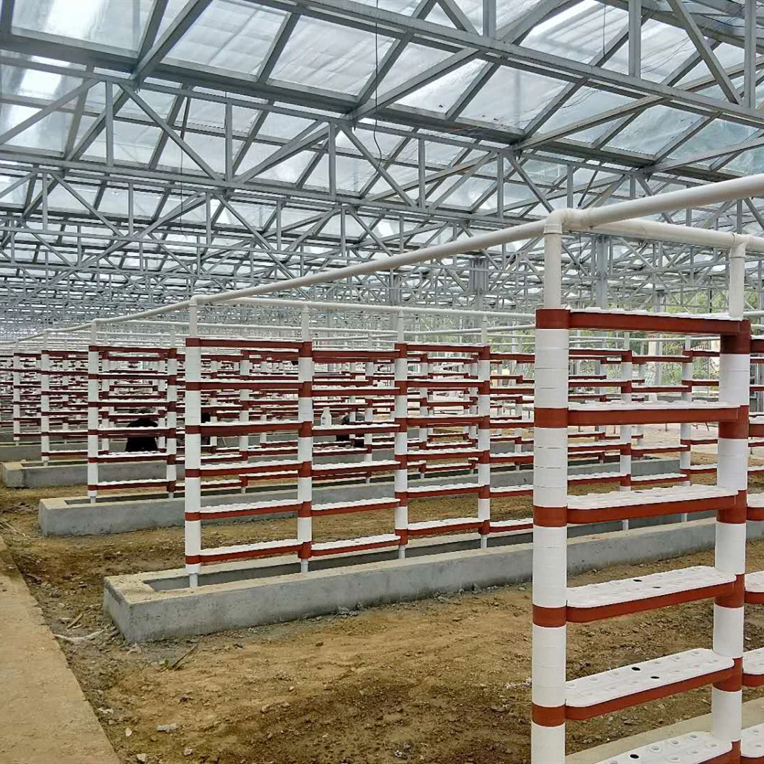 Customized Aquaponic Vertical Leafy Vegetable Hydroponics for Promotion