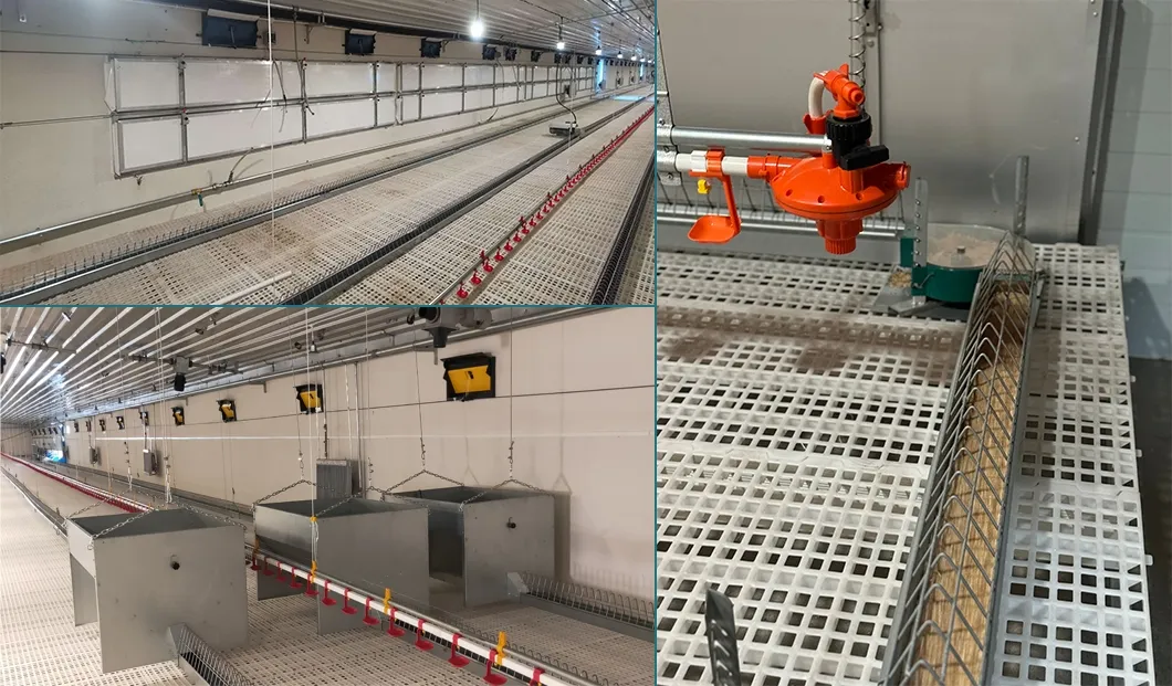 Chain Feeding System