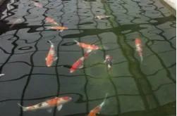 Zeolite Application 3