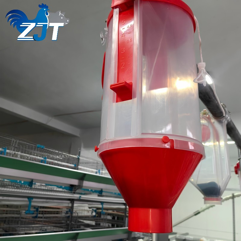 Reliable Pig Cup Feeding System for Featuring Automatic Quantitative Cup