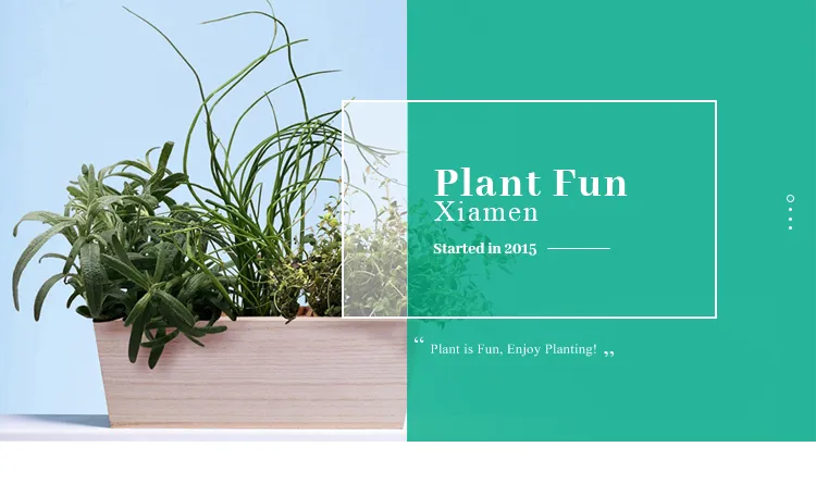 Hydroponics Growing System