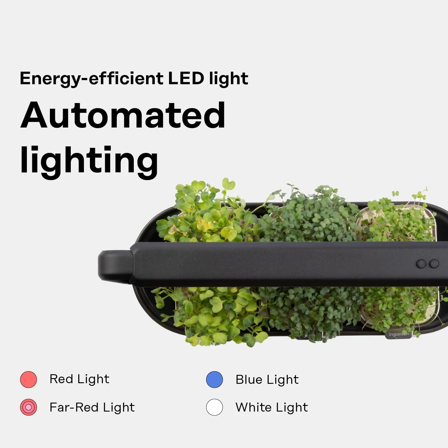 Organic Microgreen Grow System with LED Grow Light