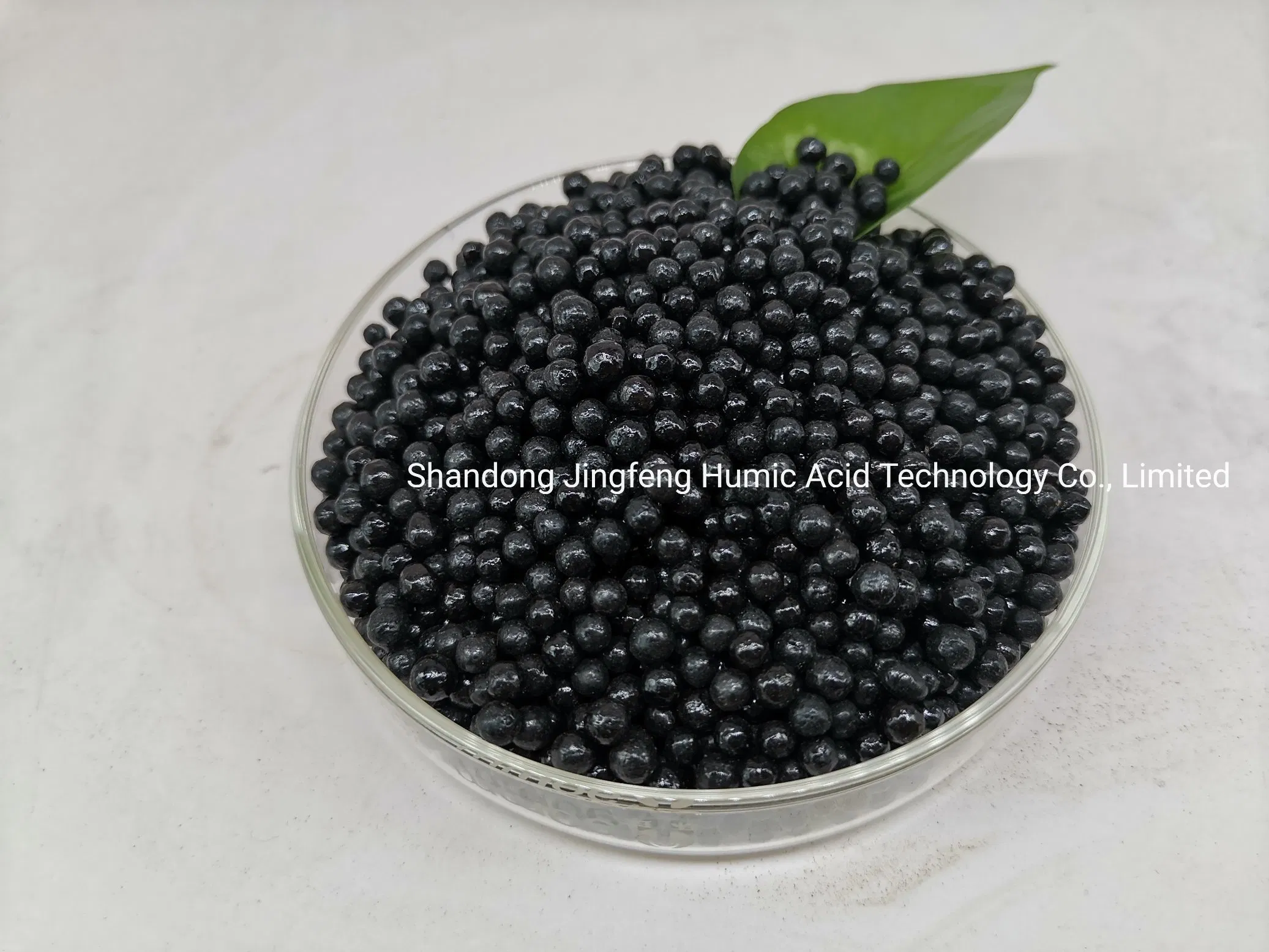 Controlled Release Agricultural Organic Fertilizer Granules Humic Acid Type Amino Lysine Acid Shiny Ball