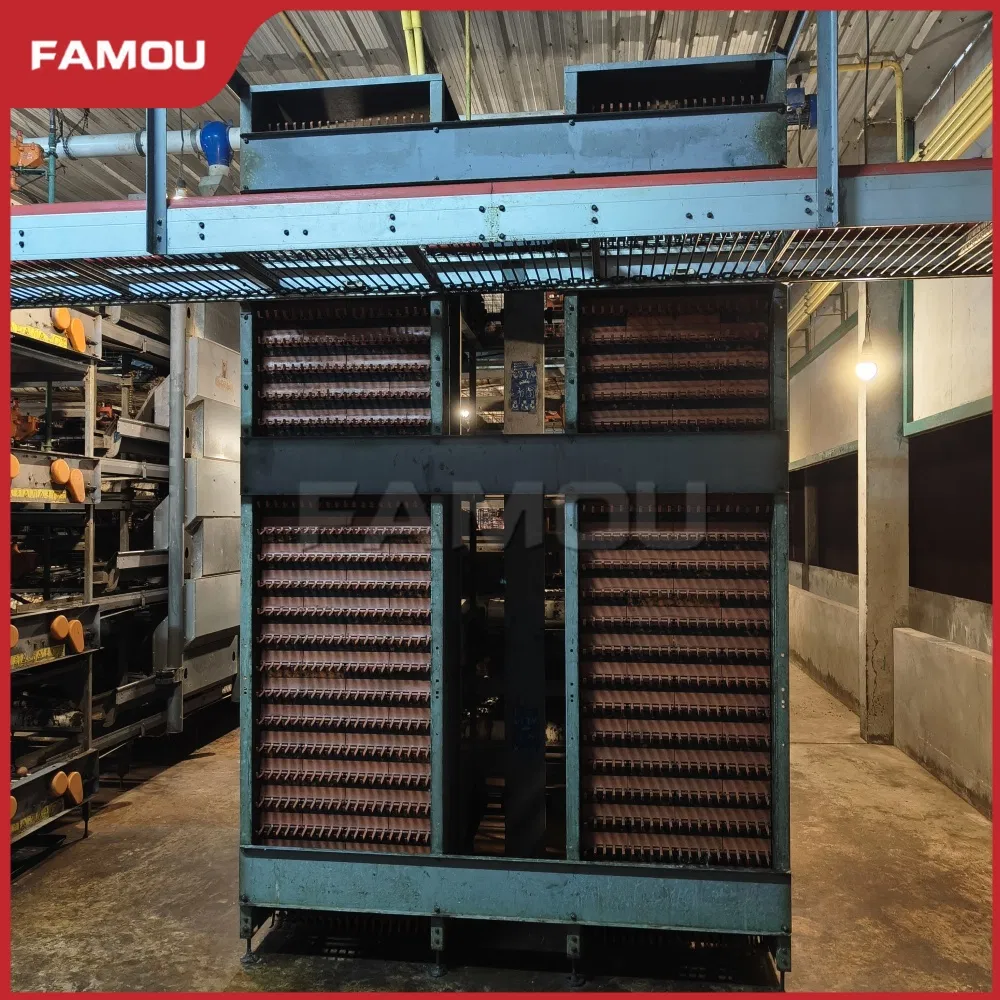 Advanced H Type Layer Automated Battery Chicken Cage for Poultry Farm