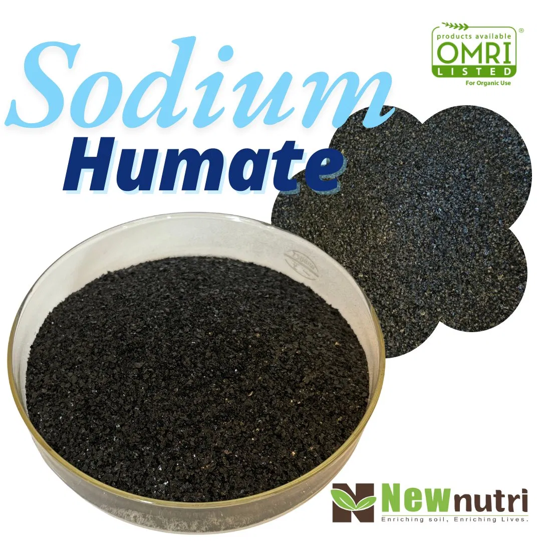 Organic Sodium Humate Flakes for Sustainable Aquaculture Feeding Nutritional Support
