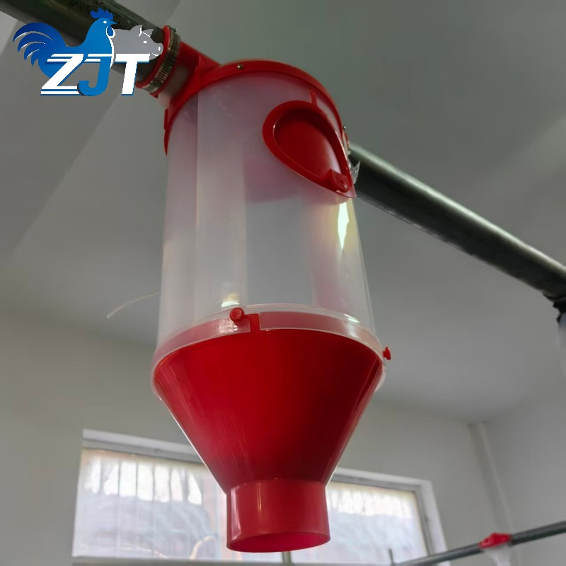 High-Quality Pig Feeding System with Quantitative Cups for Pig Farms