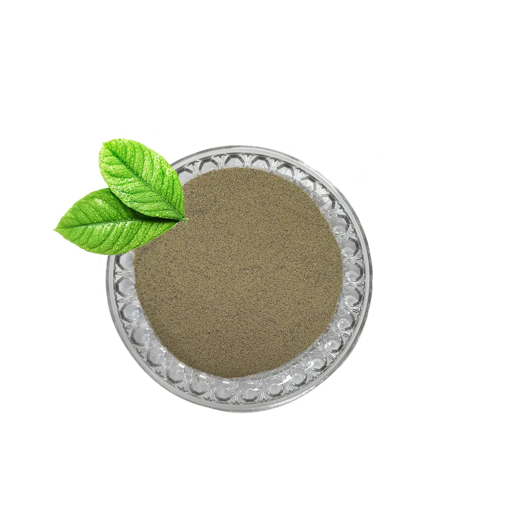 Top Quality Single Cell Protein Mycoprotein 70% Promote Animal Growth