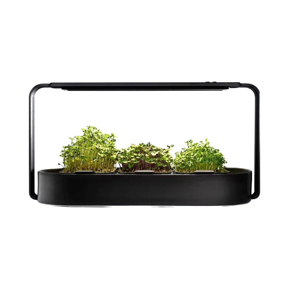 Microgreens Growing Kit LED Grow Lights Home Hydroponics System