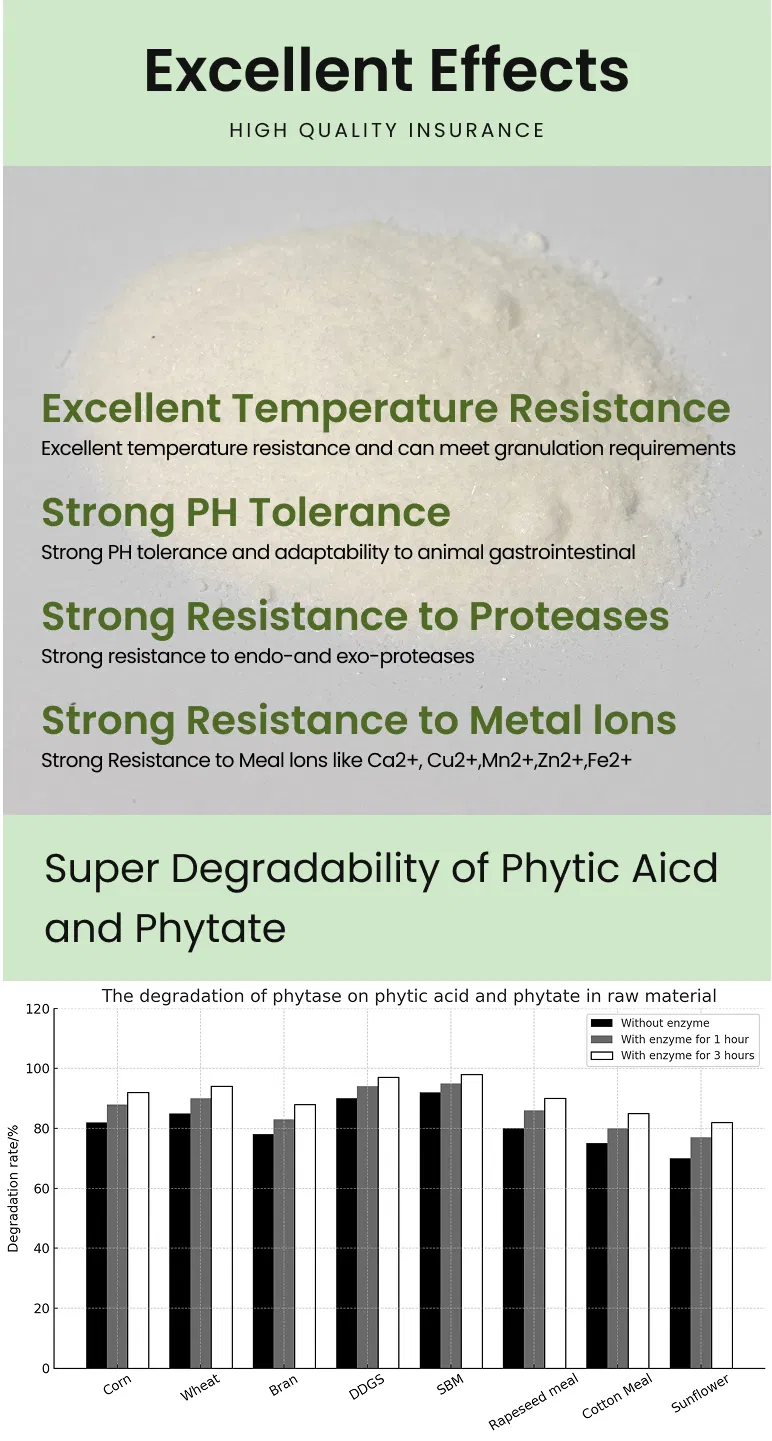 Animal Growth Feed Phytase