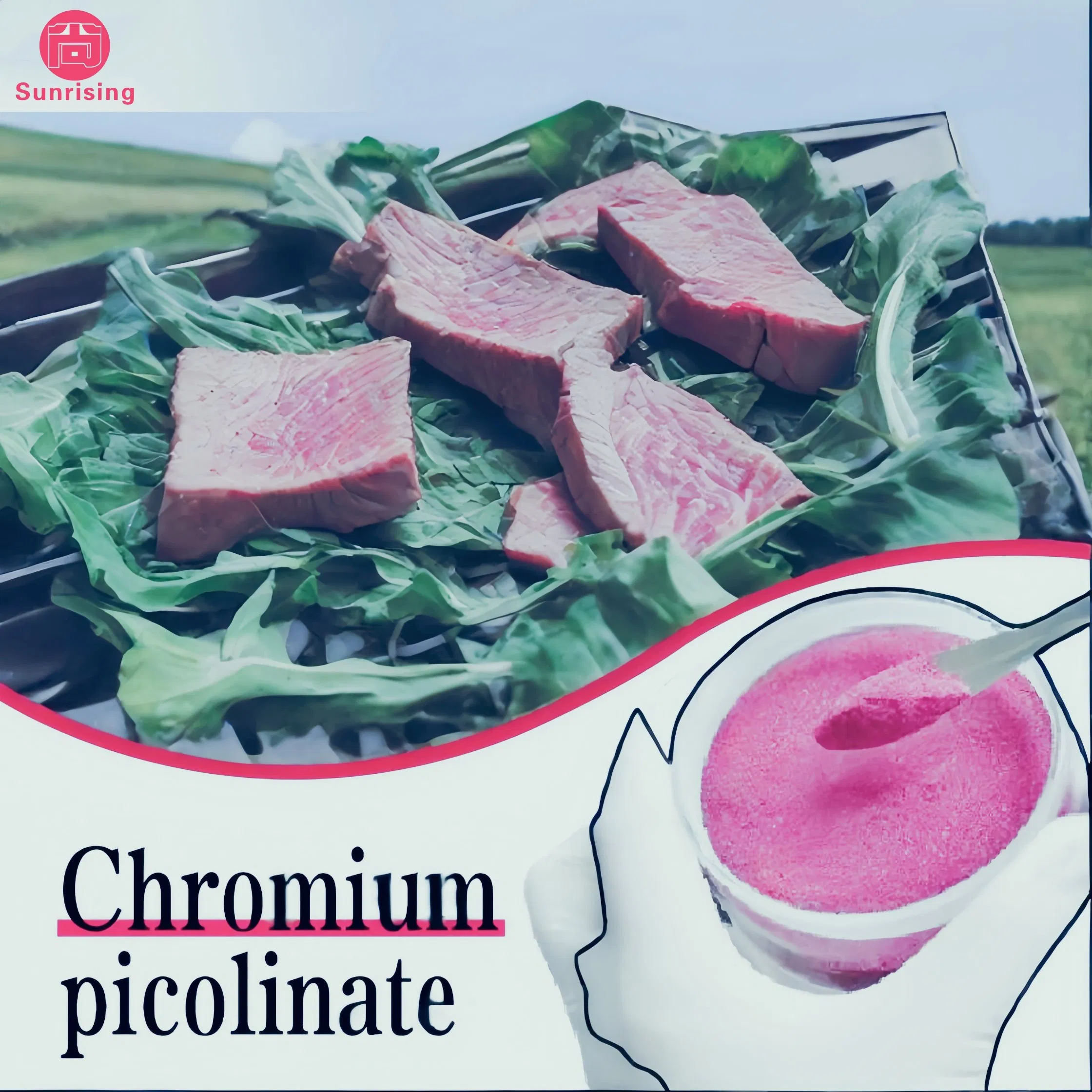 Chromium Picolinate Powder14639-25-9 Feed Additives Animal Glucose Metabolism Optimization