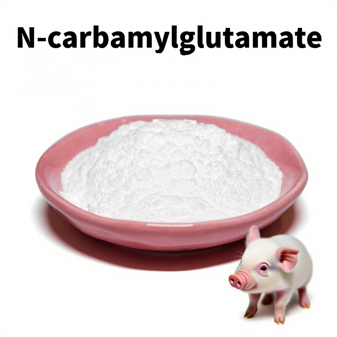 N- Carbamylglutamate for Advanced Piglet Nutrition Fortifier for Optimal Intestinal Growth