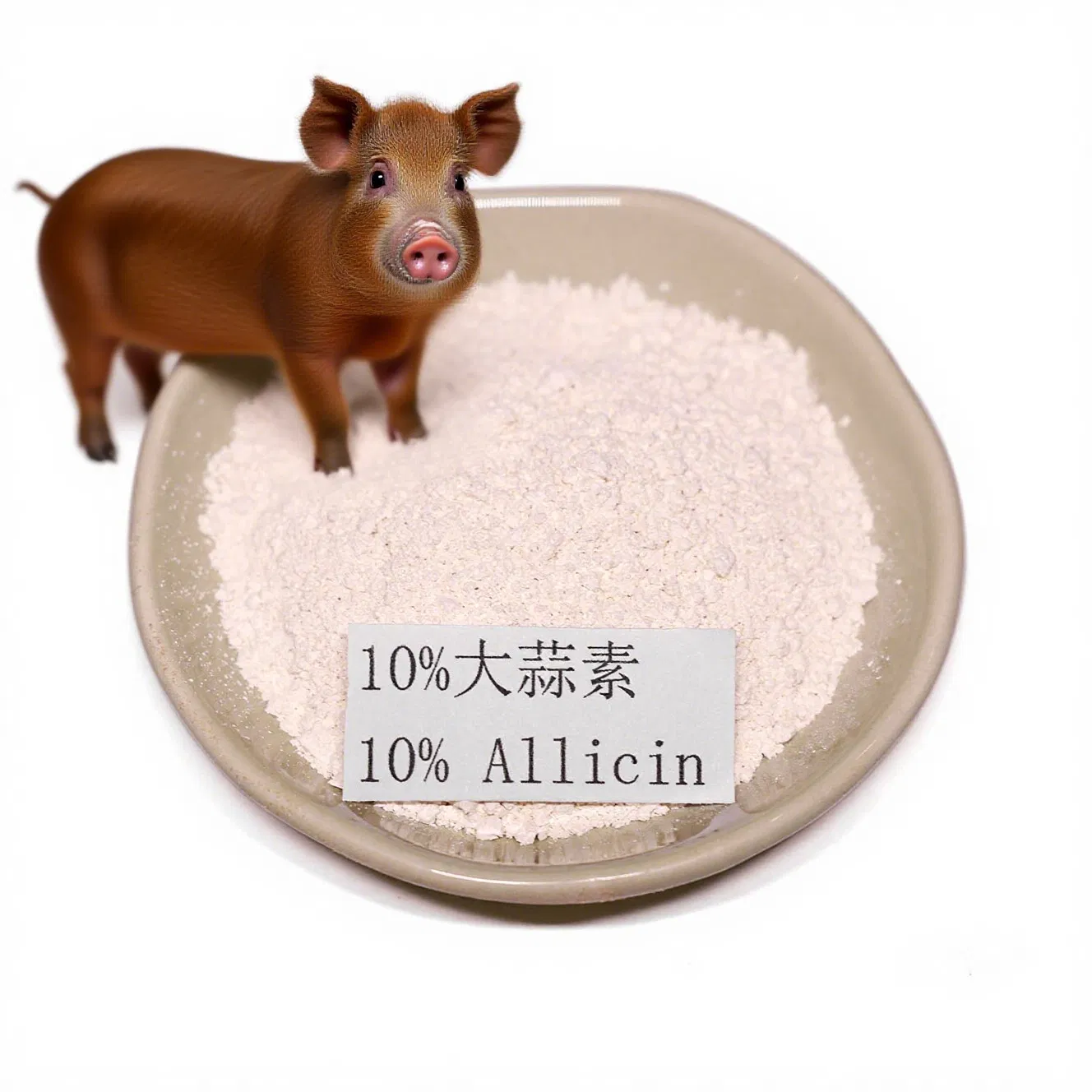 Pigs Use Allicin to Promote Digestion, Resist Viruses, and Enhance The Immune System of Fattening Piglets
