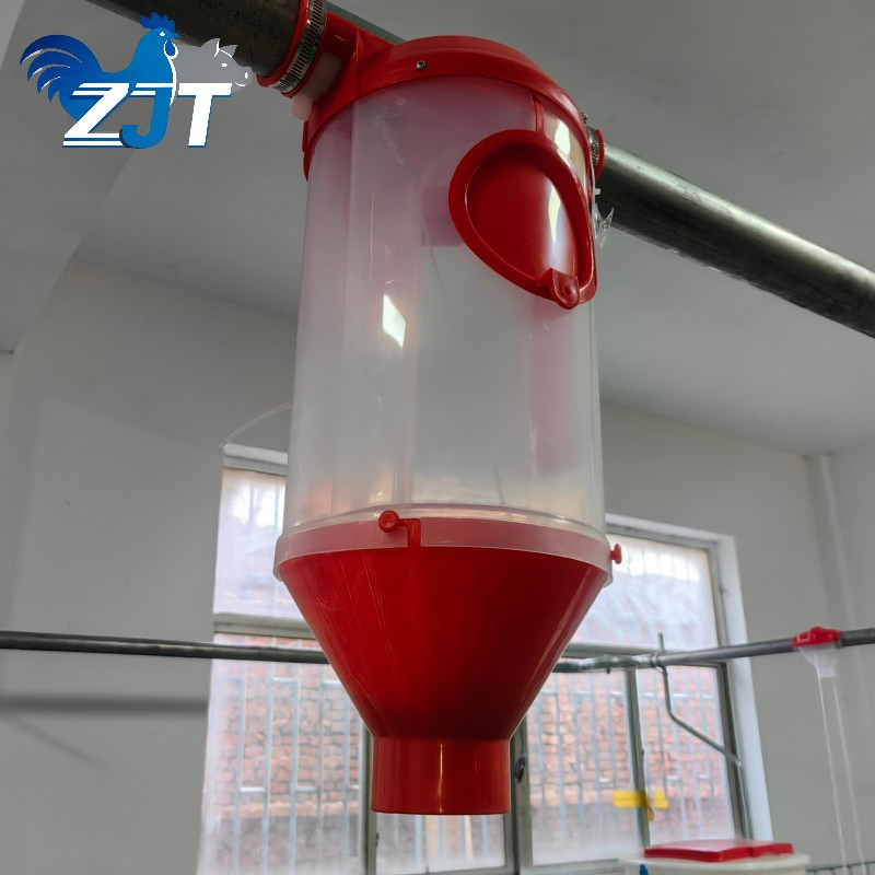 Reliable Pig Cup Feeding System for Featuring Automatic Quantitative Cup