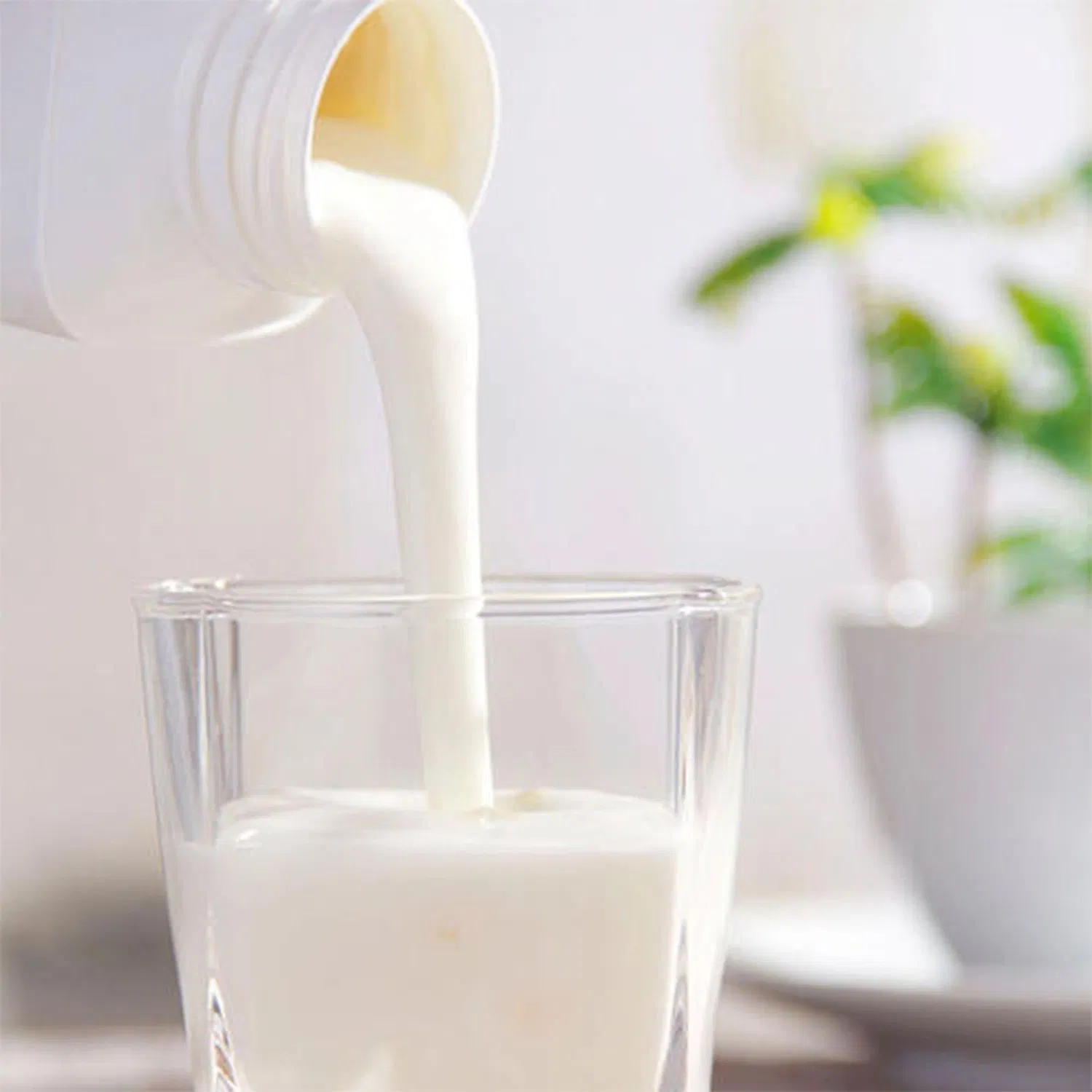 High Purity Soy Protein Isolate for Protein Beverages &amp; Sports Nutrition, 90% Protein, Excellent Solubility