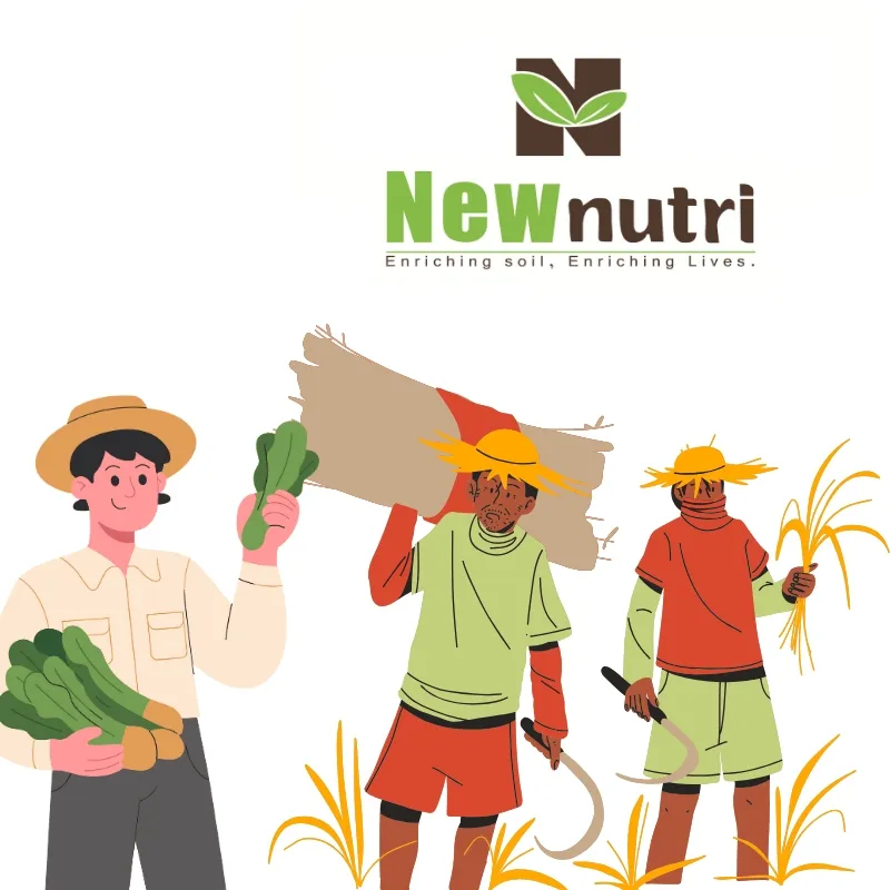 Sodium Humate Flakes