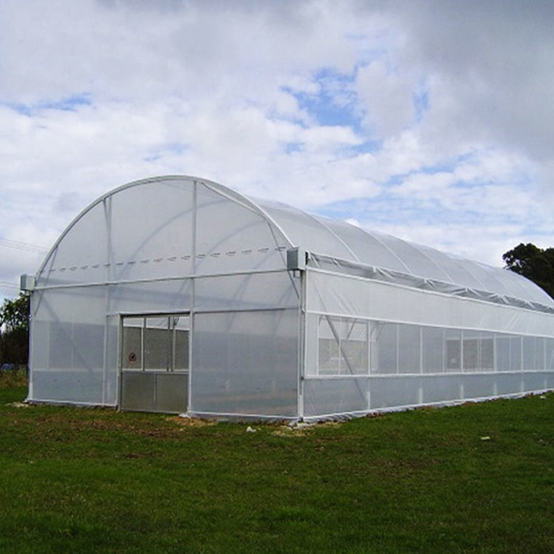 Film Greenhouse for Agricultural Yield Enhancement