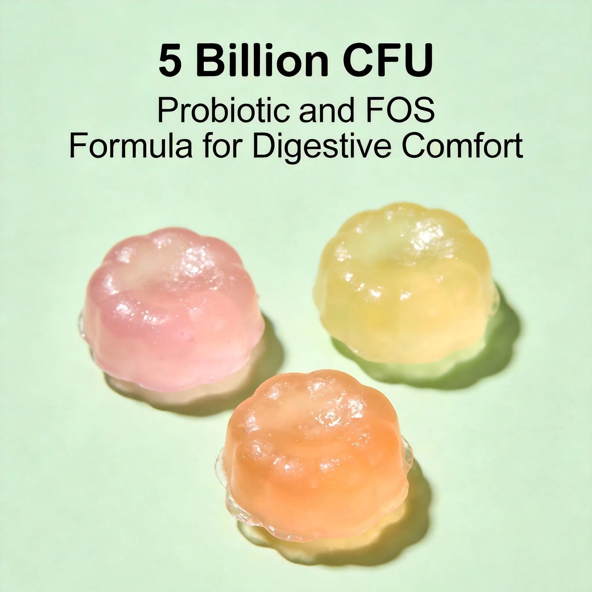 Probiotic + Prebiotic Digestive Health Gummies: 5 Billion Cfu Probiotic and Fos Gummies for Gut Flora Balance and Digestive Comfort