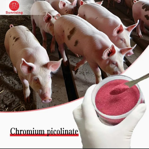 Chromium Picolinate Powder14639-25-9 Feed Additives Animal Glucose Metabolism Optimization