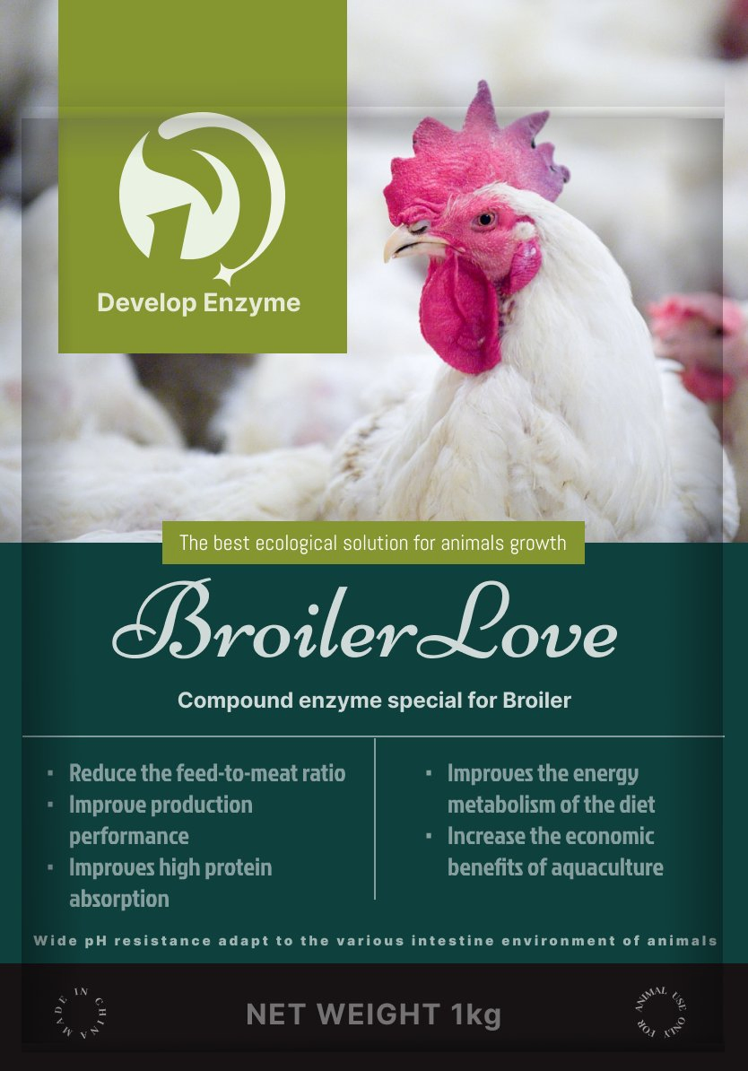 Innovative Broiler Feed Enzyme Solutions with High Stability Compound Enzyme