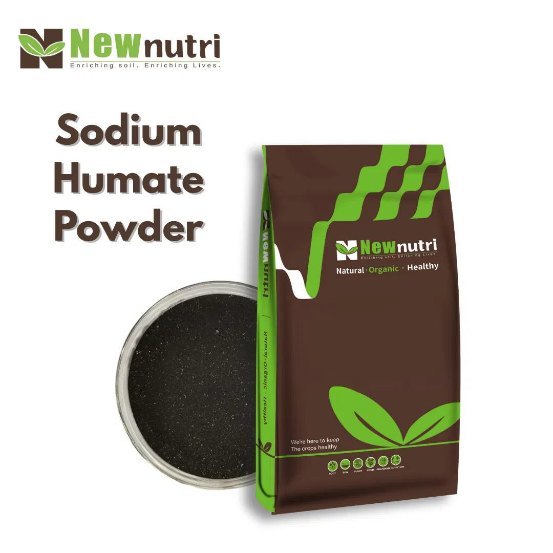 Natural Sodium Humate Bio Organic Fertilizer for Livestock and Poultry Feeding Solutions