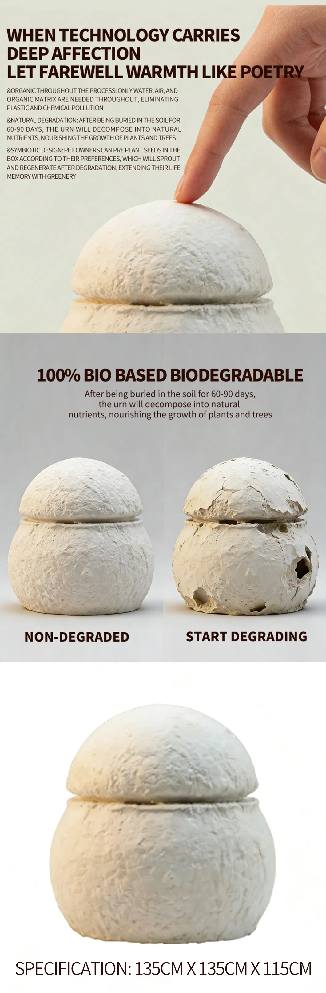 Sustainable Pet Cremation Box Display 2