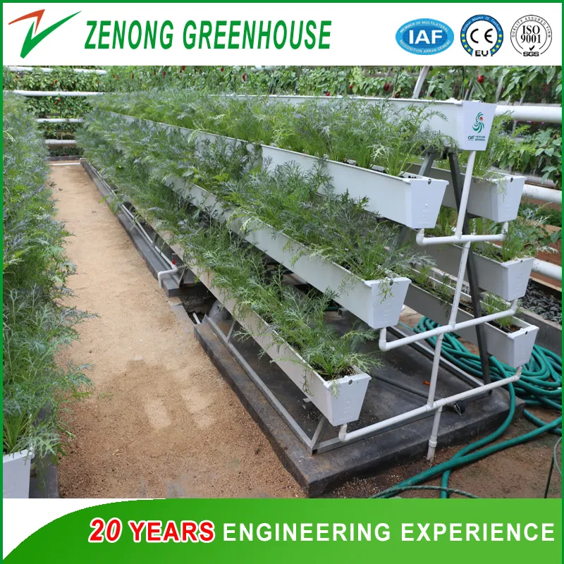 Hydroponic System View 3