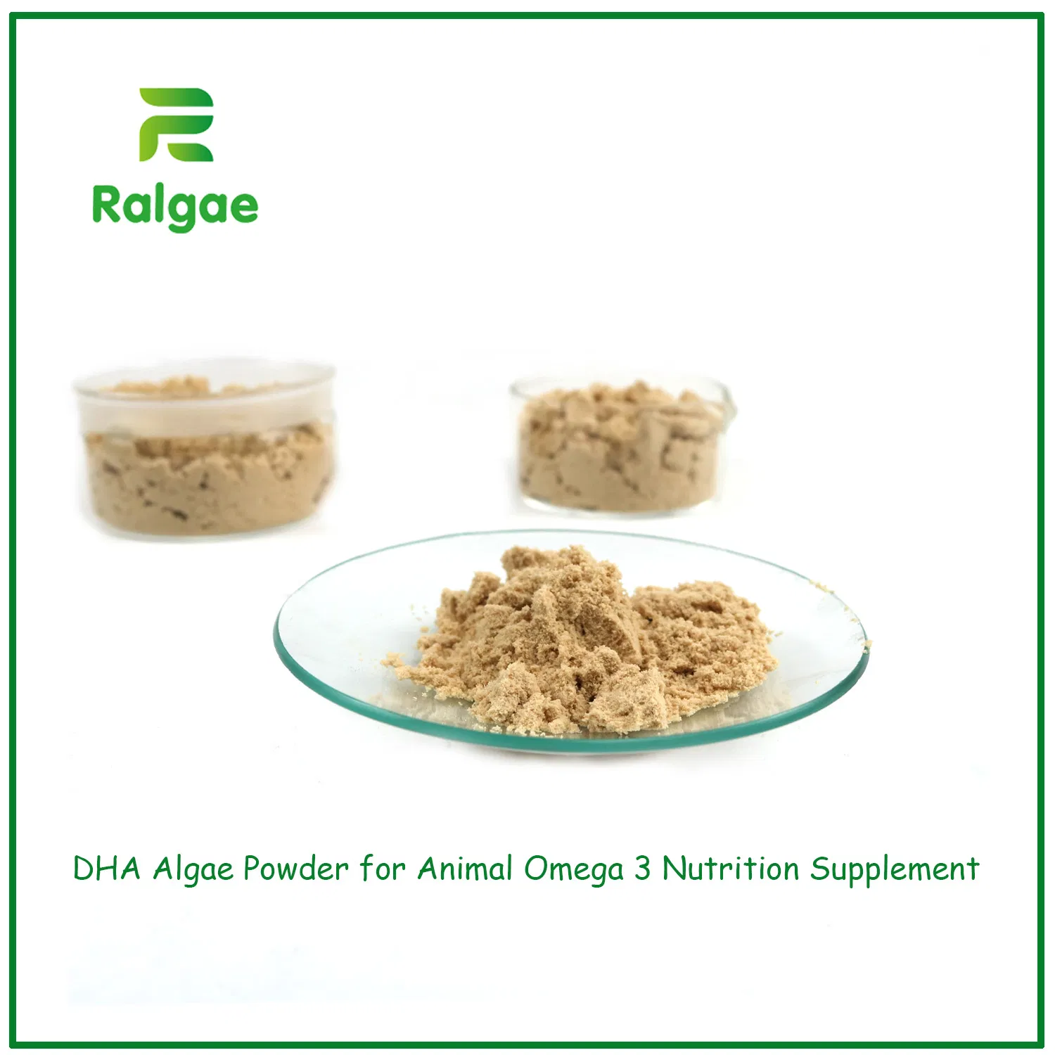 DHA Algae Powder Increase Aquaculture Growing Health and Meat Omega 3 Nutrition CAS6217-54-5