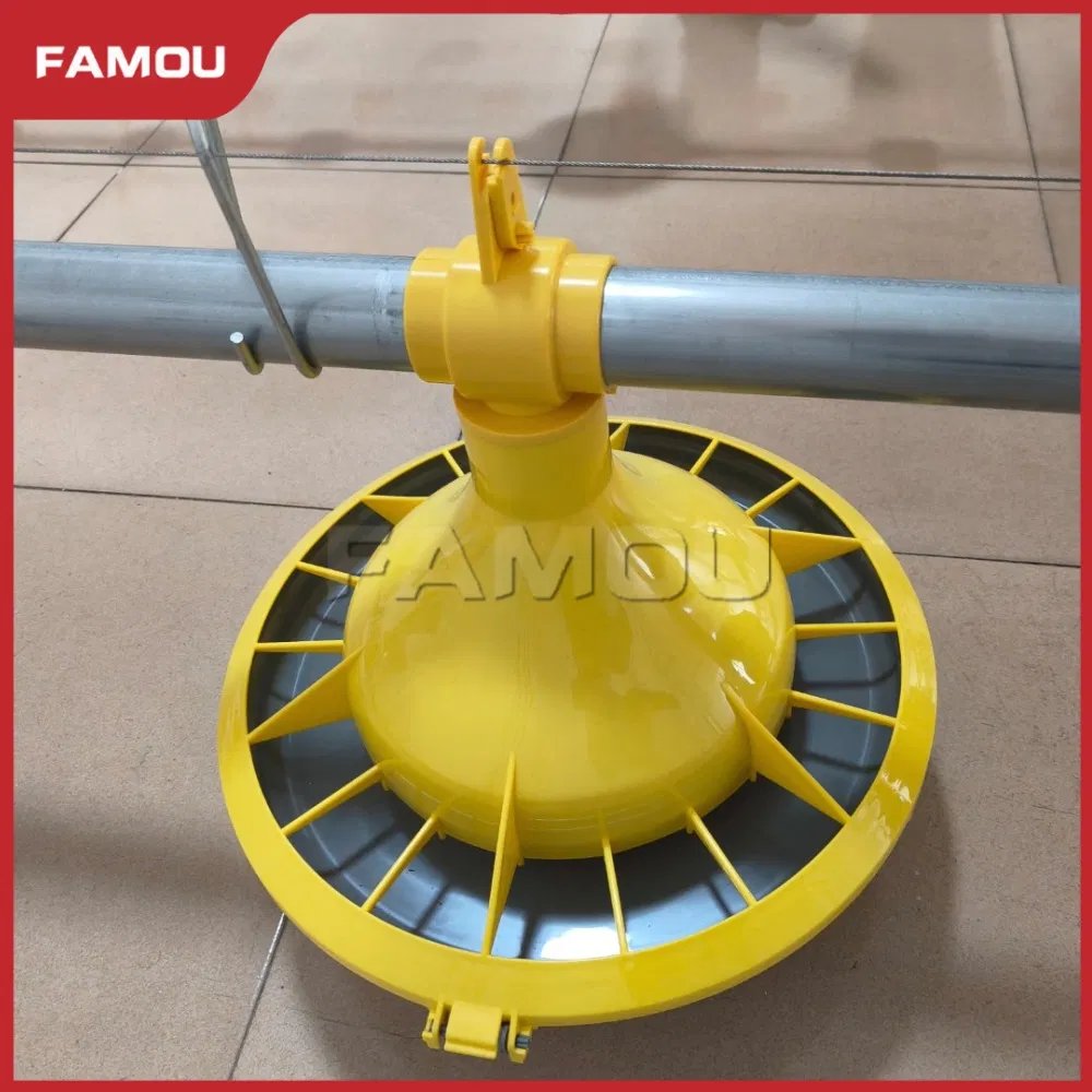 Efficient Poultry Broiler Floor Raising Using Automatic Feeding System