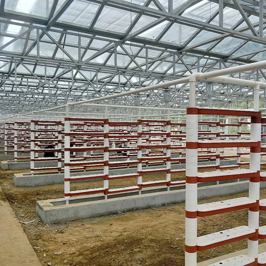 Hydroponics System 5