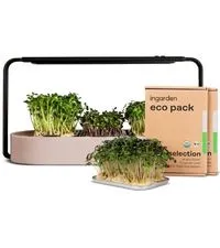 Nutrient Rich Greens