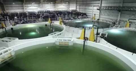 Environmental Protection