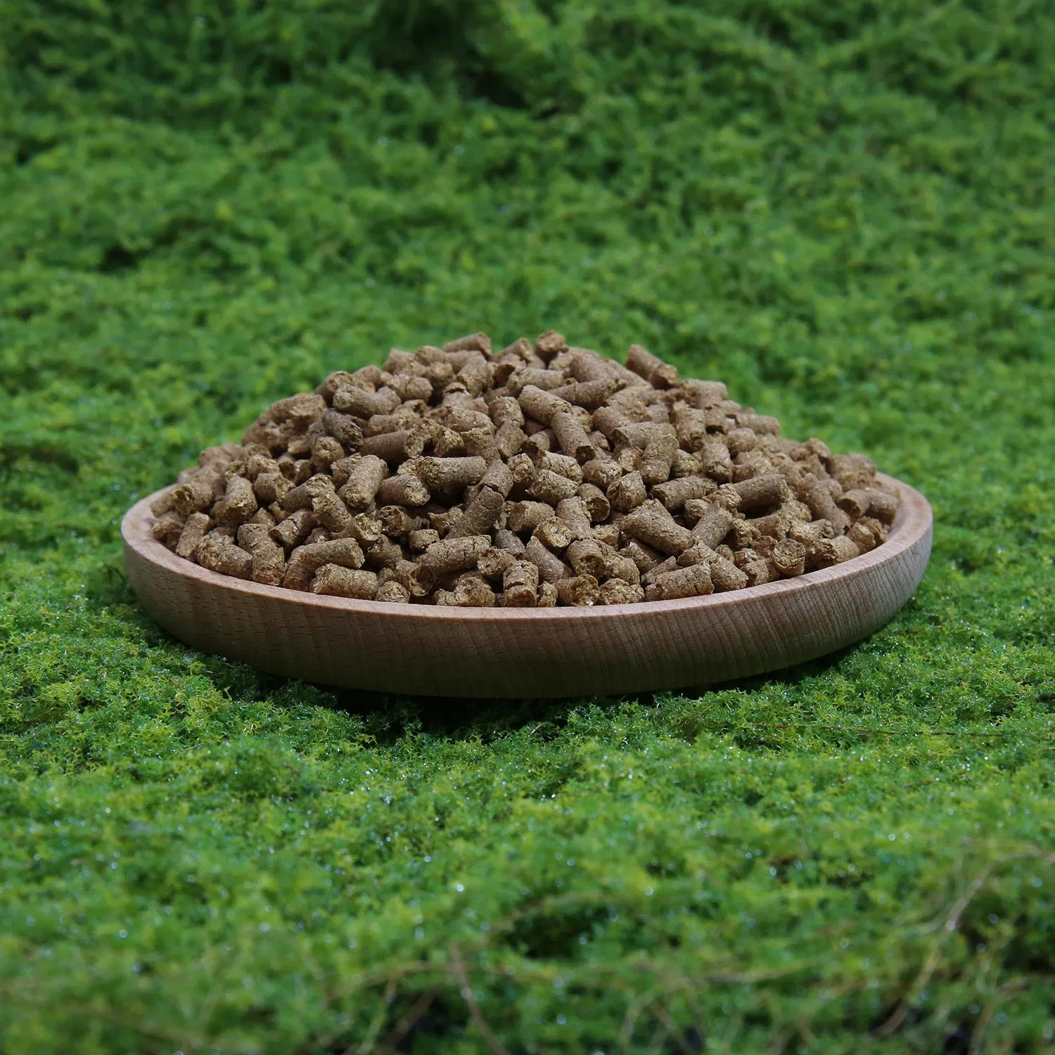 Eco-Friendly Sustainable Farming Organic NPK Fertilizer for Arid Soils Agriculture