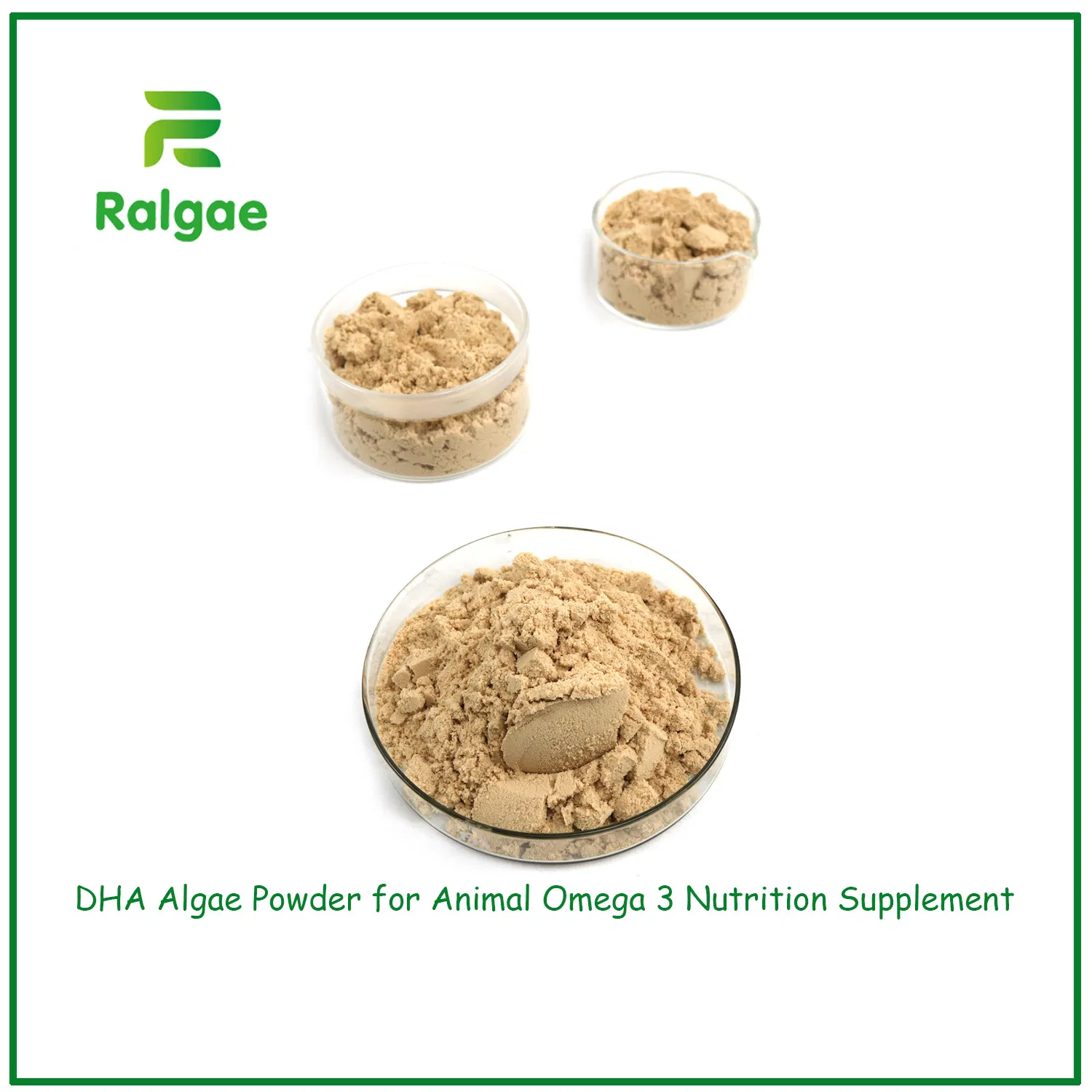 DHA Algae Powder Increase Aquaculture Growing Health and Meat Omega 3 Nutrition CAS6217-54-5