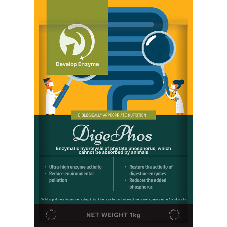 Price Water-Soluble Feed Phytase Enhance Nutrient Absorption and Animal Growth