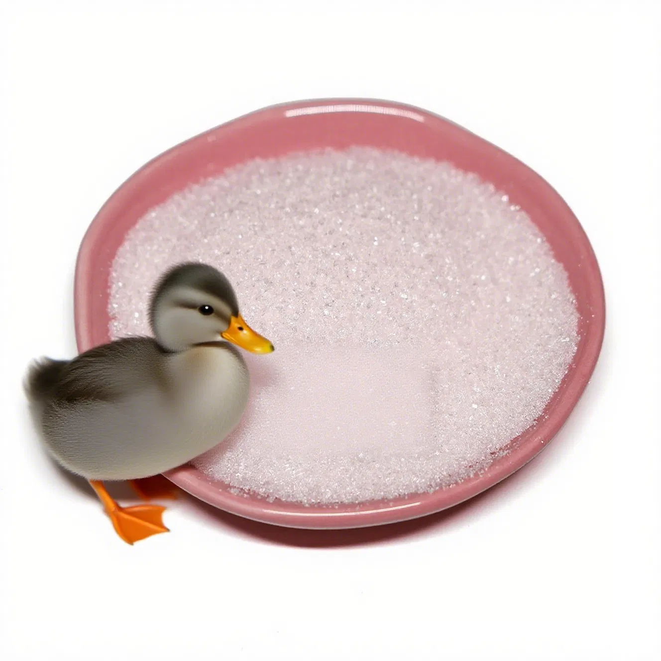 Feed Grade Betaine Enhances The Immune System of Livestock and Poultry, and Provides Nutritional Supplements for Breeding