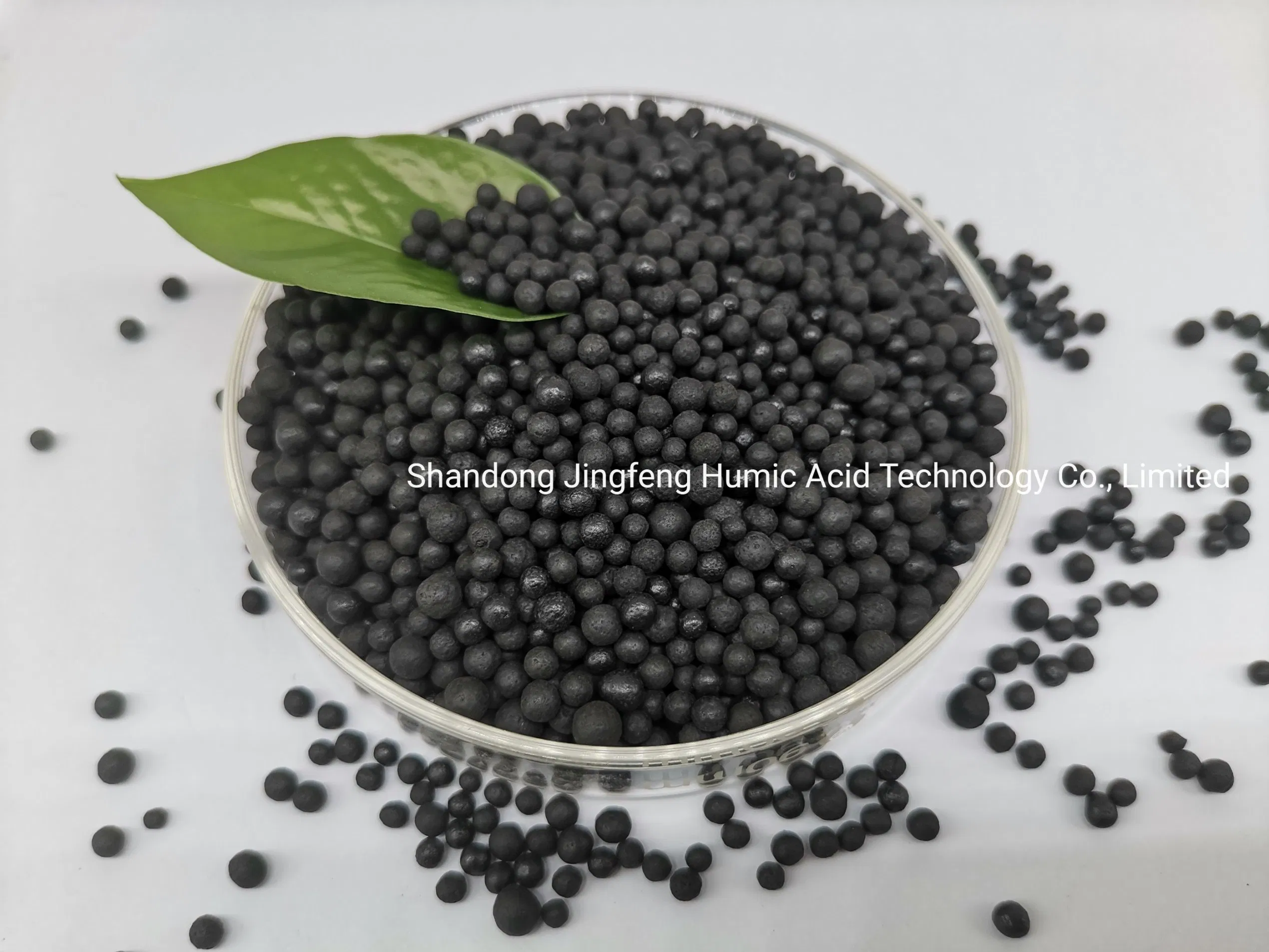 Humic Acid Fertilizer Granules Slow and Controlled Release Type Balck Shiny Granular Humic Acid Granule