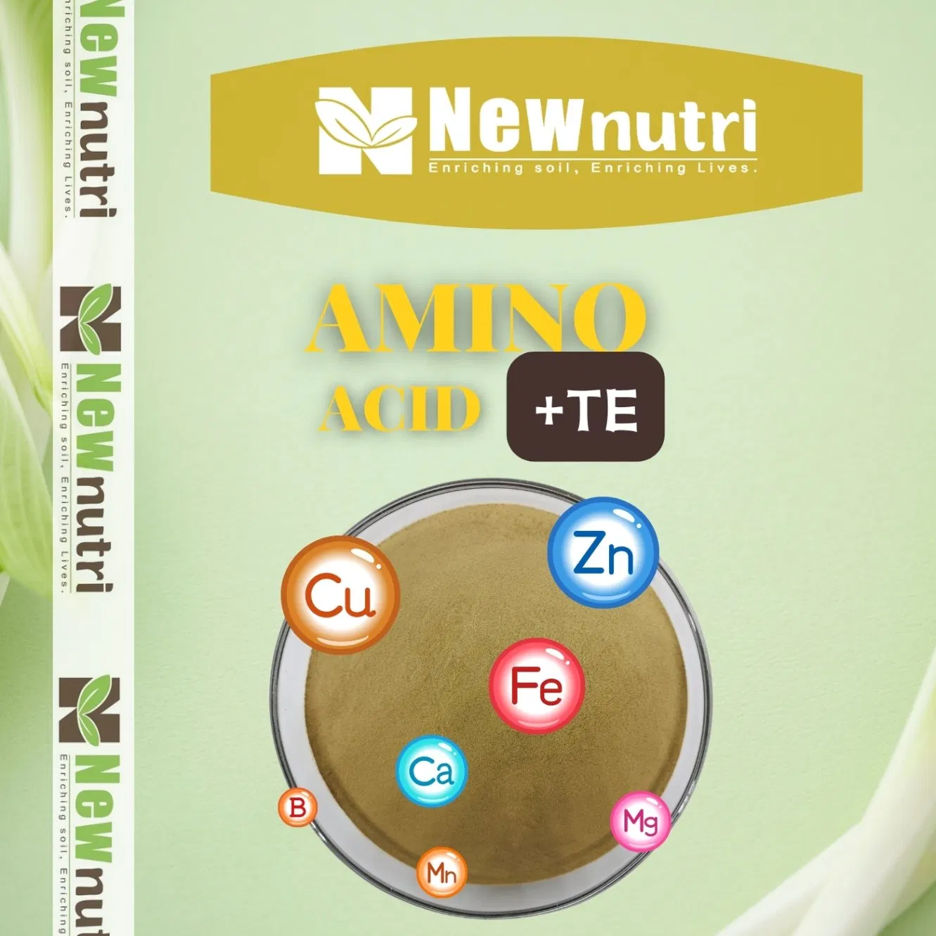 Amino Acid-Based Plant Nutrition for Rapid Growth and Stress Resistance