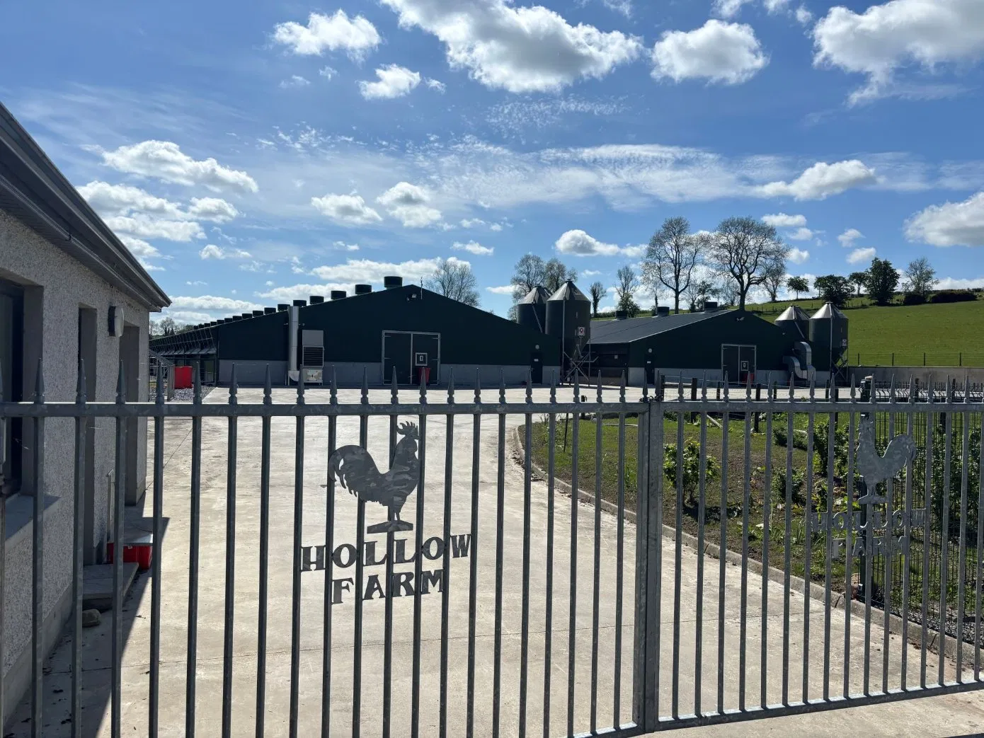 Top Quality Chicken Automatic Chicken Coop Poultry System