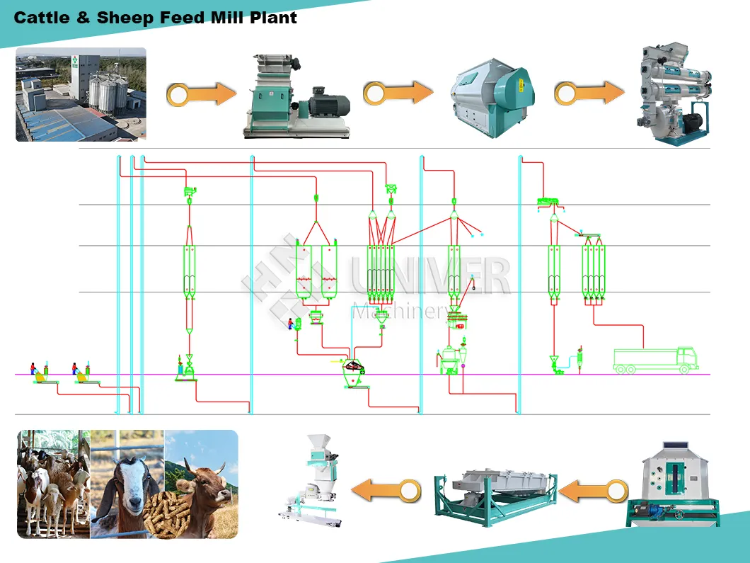 Process Flow Diagram