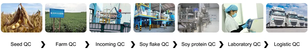 Quality Control Process